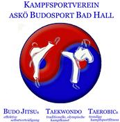 Logo von ASKÖ Budosport Bad Hall